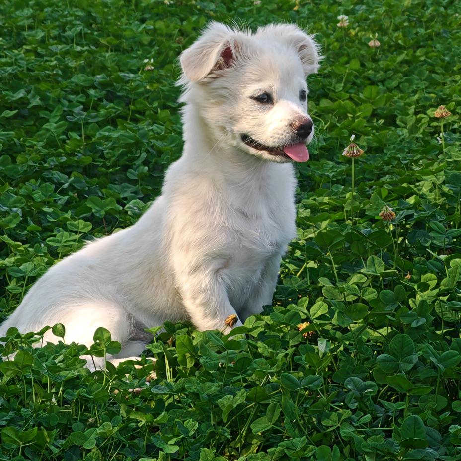 坚持党的领导🇨🇳