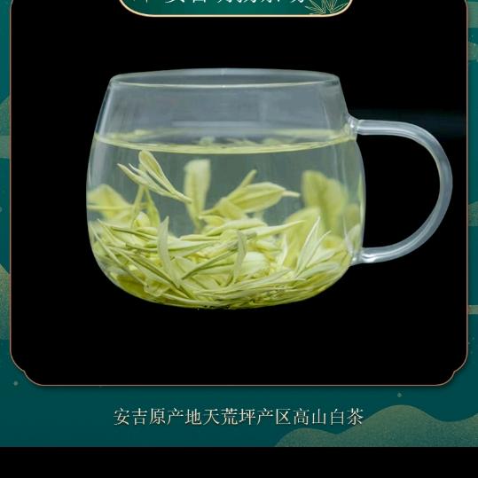 安吉山高山白茶1