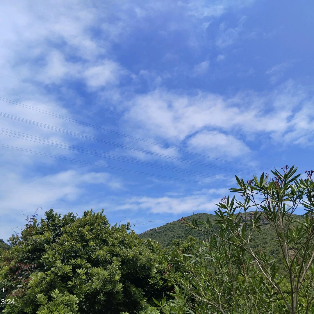 今早有酒今早醉
