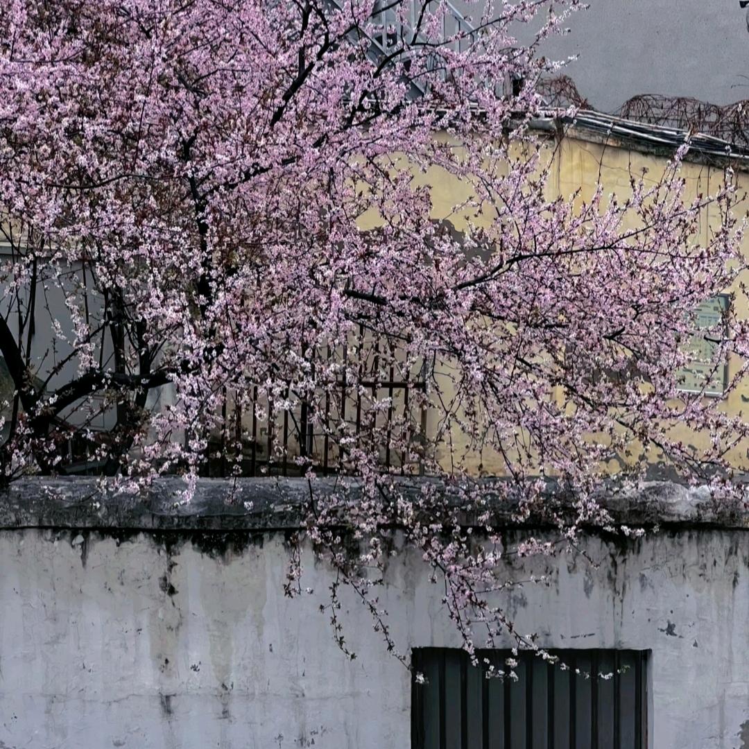 溜德滑