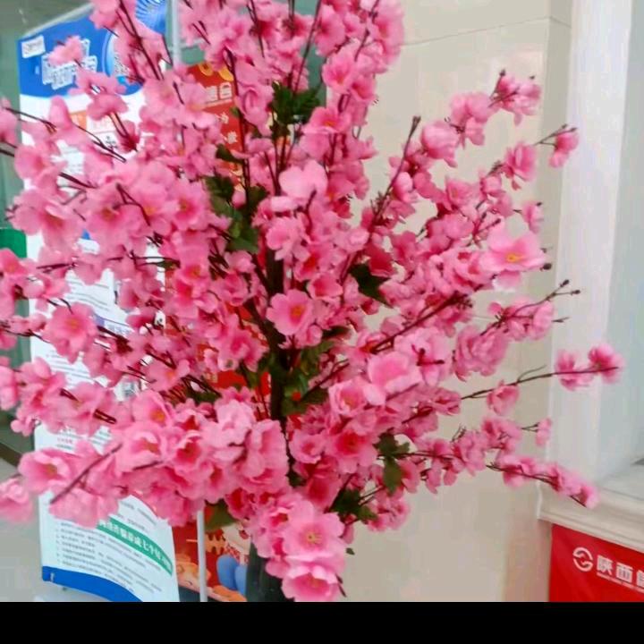 胡