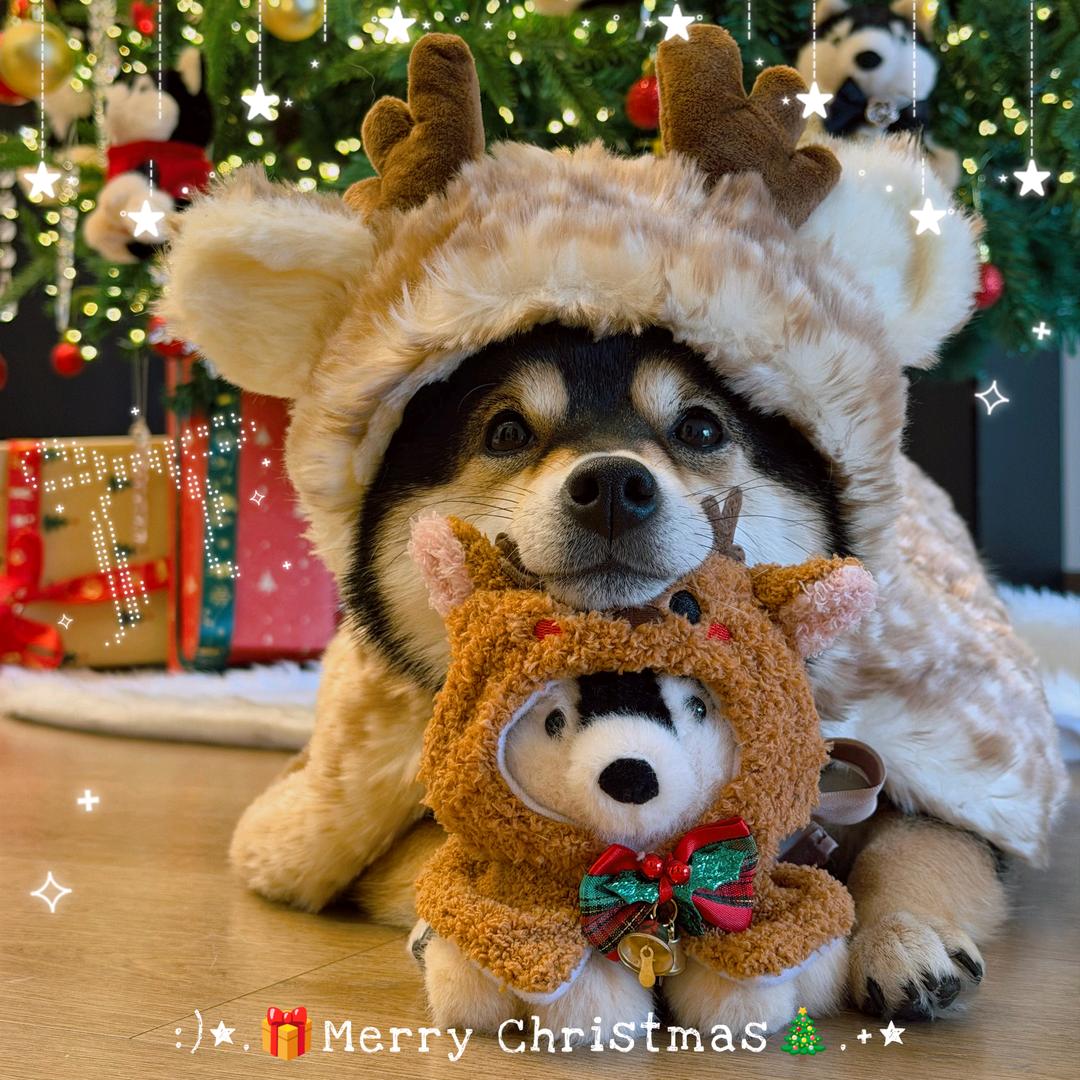 不许揪我小辫子