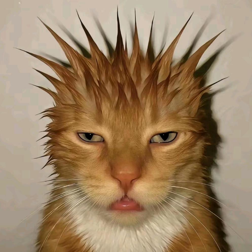 ⑧