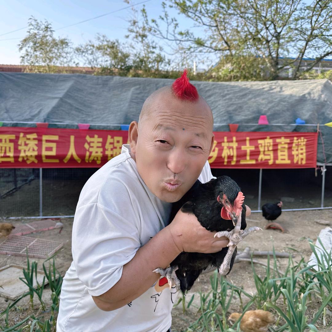 矮巨人涛锅锅