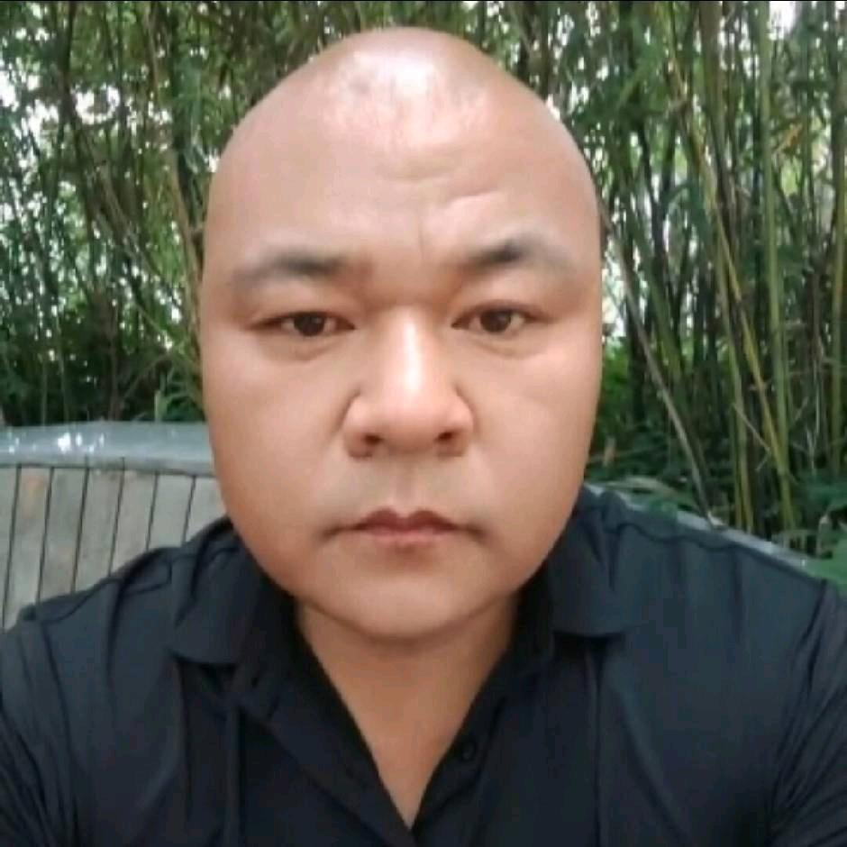 胖虎【光头强不强】