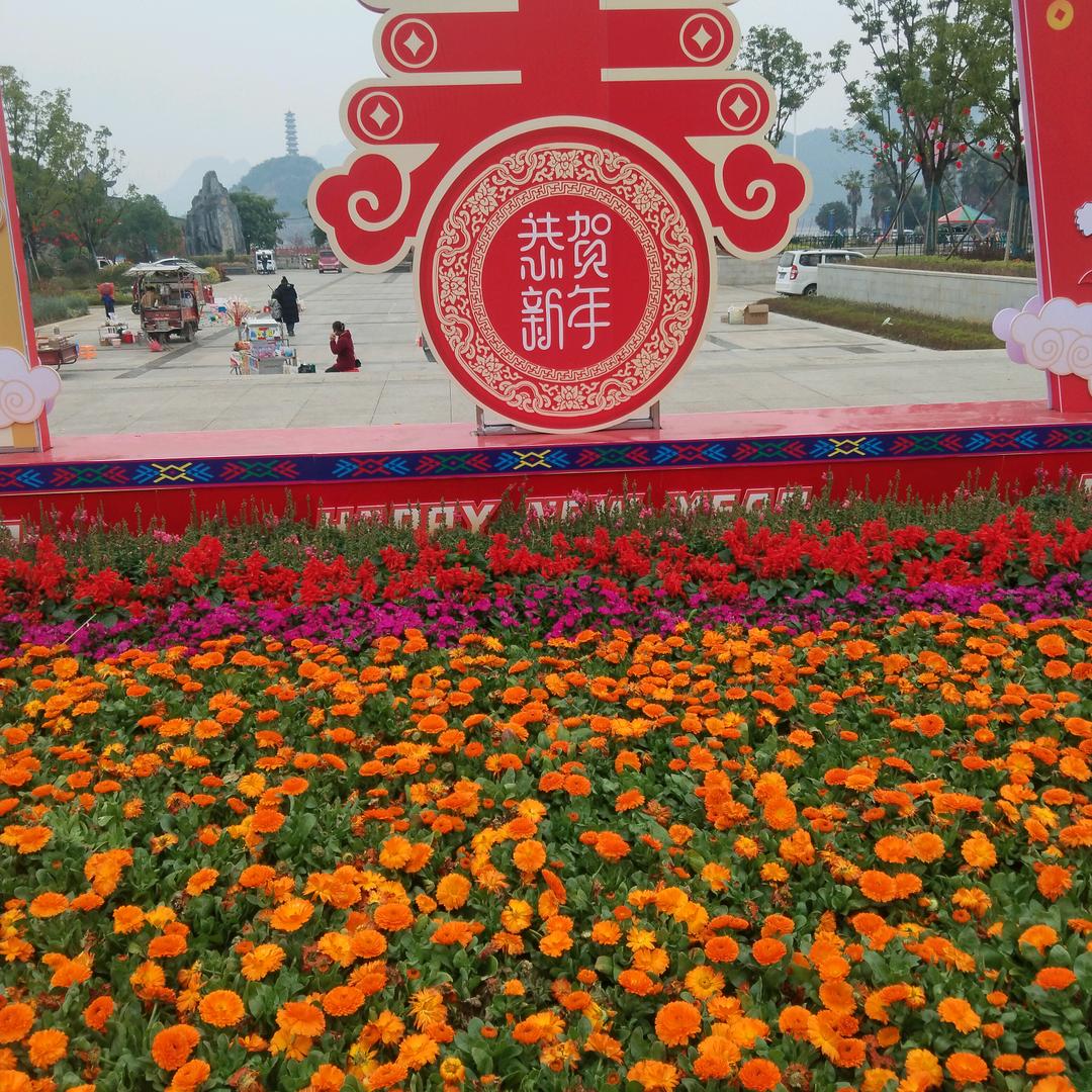 花园