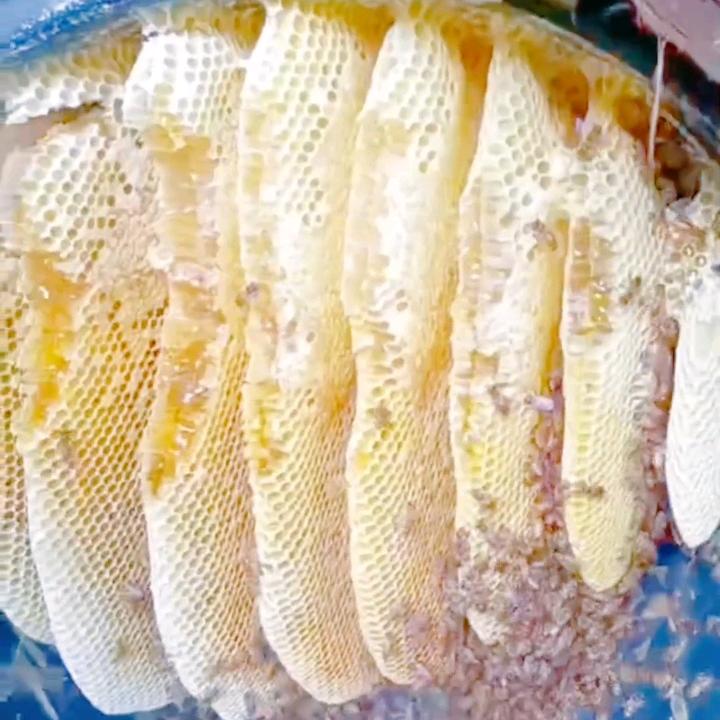 山里人🐝
