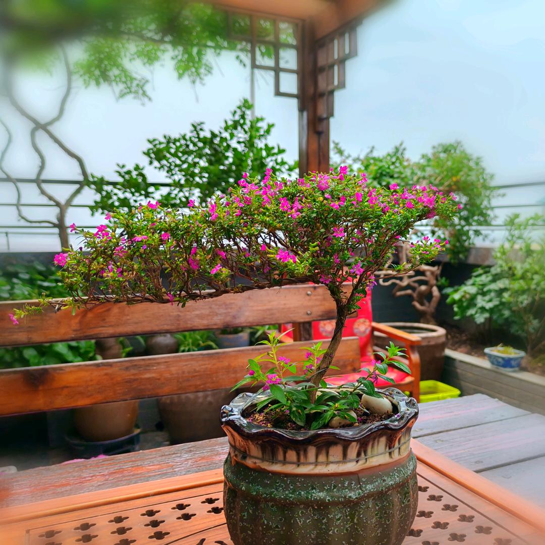 安然