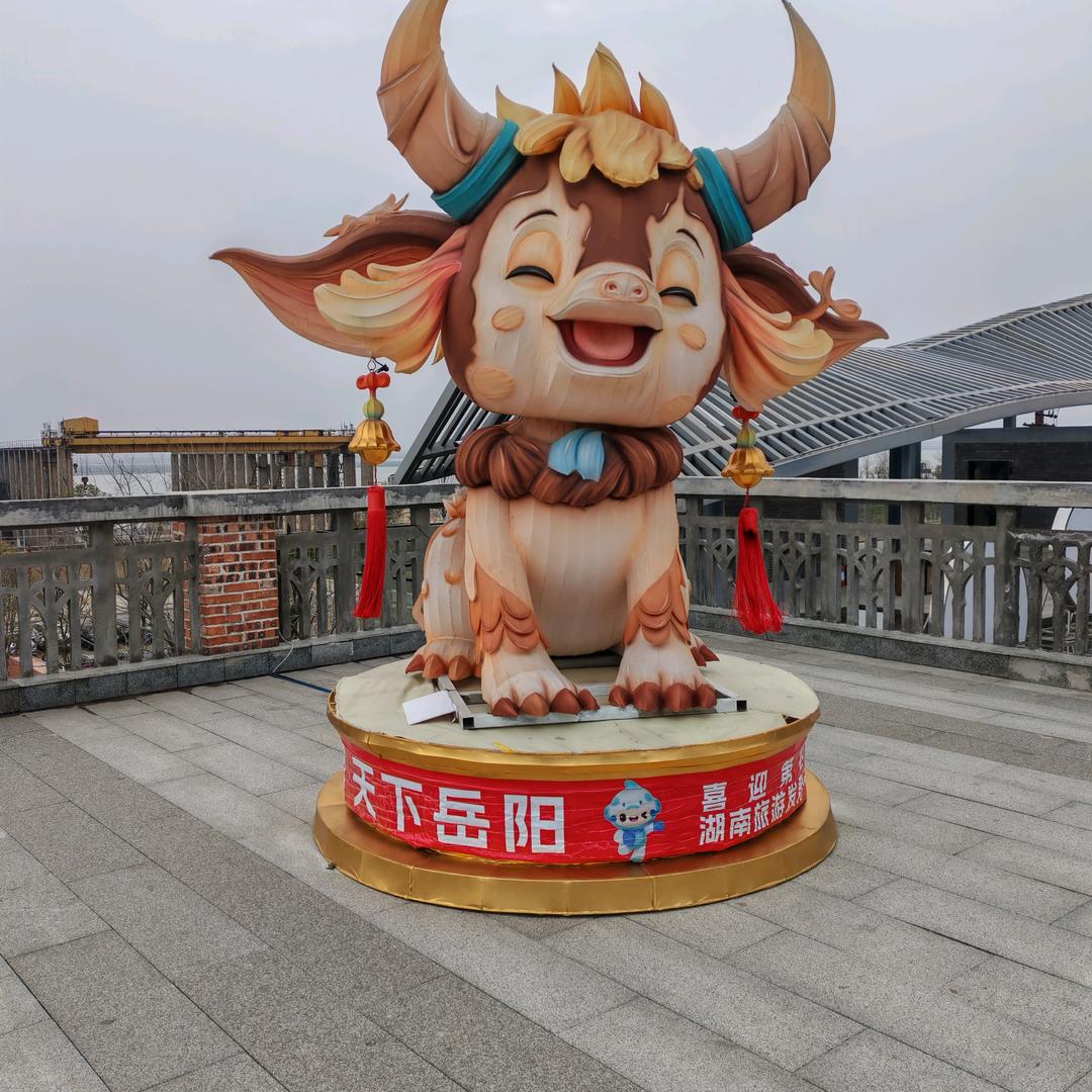小刚哥