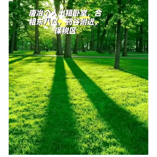 回头狼