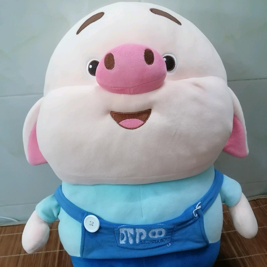 我命由我不由天