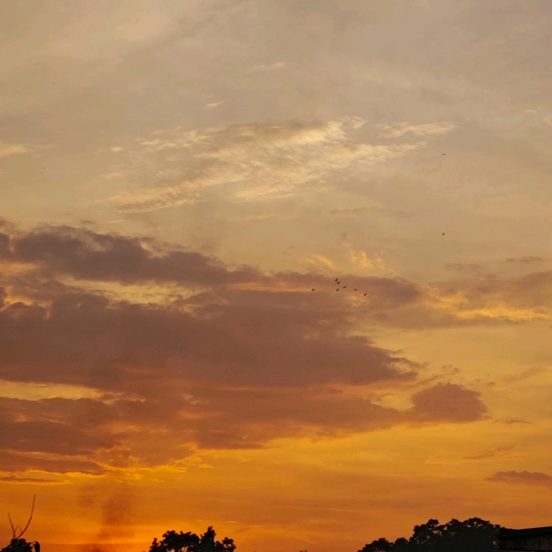 ꧁🥰༺๑豪๑༻🥰꧂