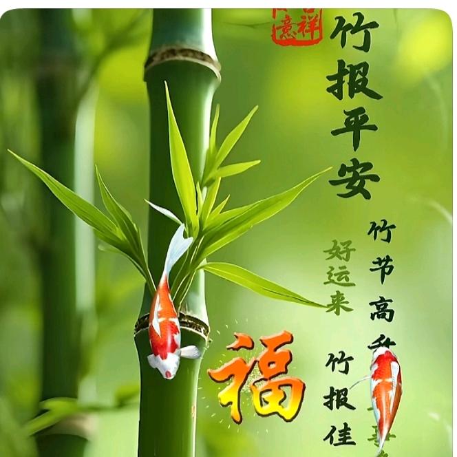 🦋এ᭄我姓ꦿ刘💔我心留ོ࿐ᩚ