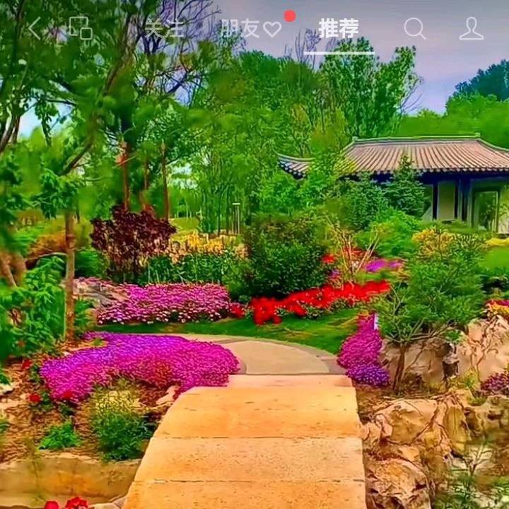 踏青看柳