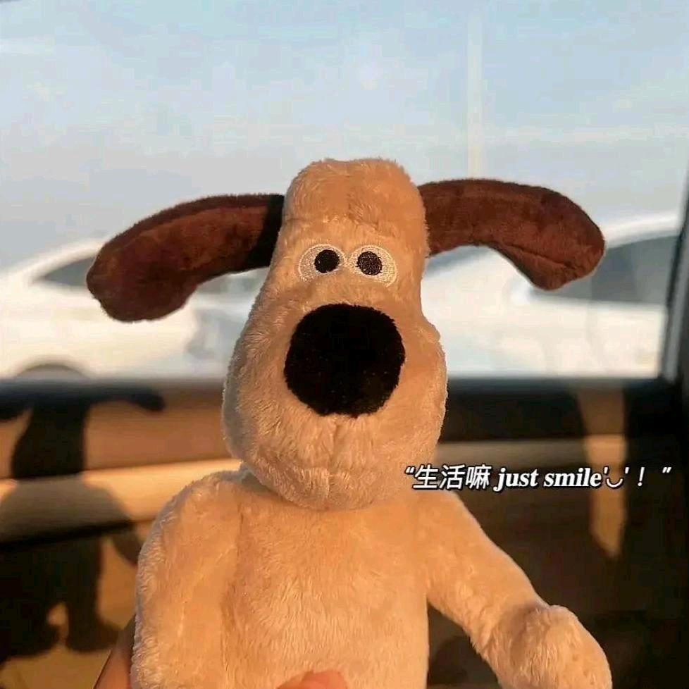 一只咩咩Yang~
