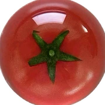 AAA_番茄批发林总.