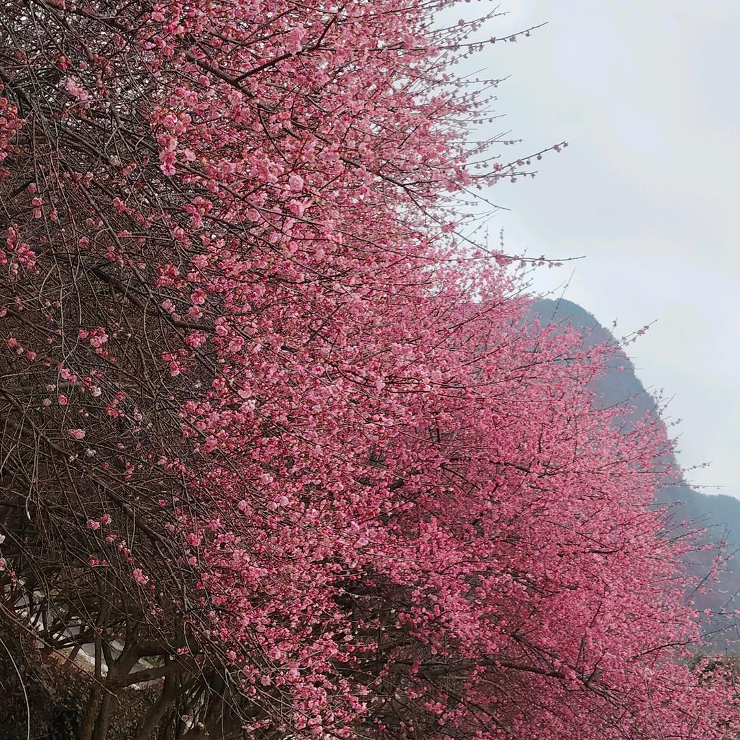 外架工