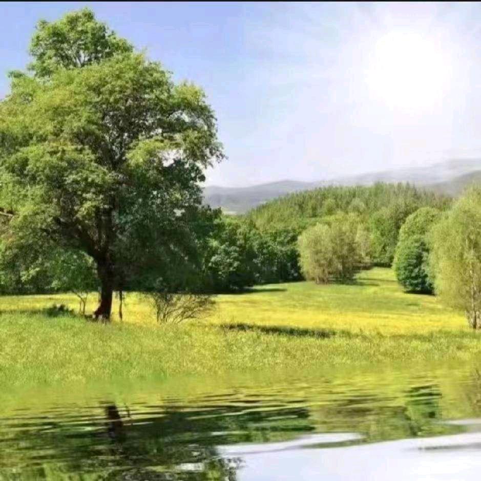 合作加入小黄蜂，就找（关老师），