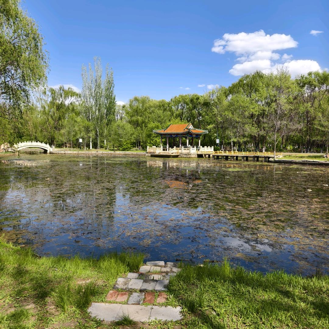 抖音兰麻3号（反熊猫帮和假冒大楚）