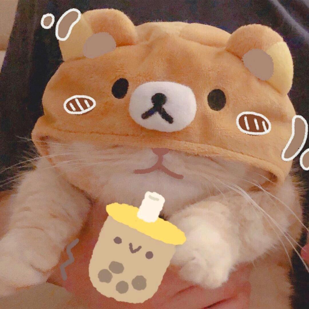 Mr丶奶茶爱下棋