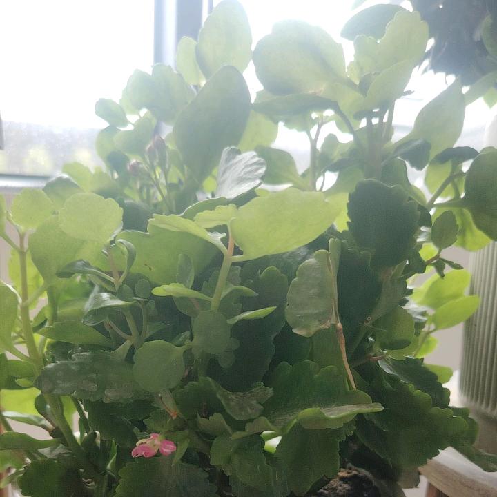 阳光，快乐，健康