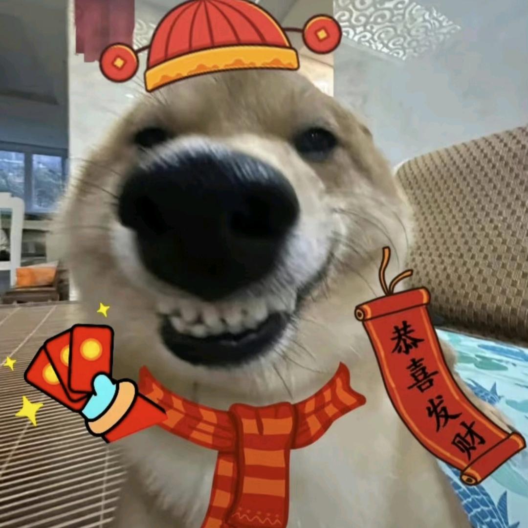 不知道取啥名