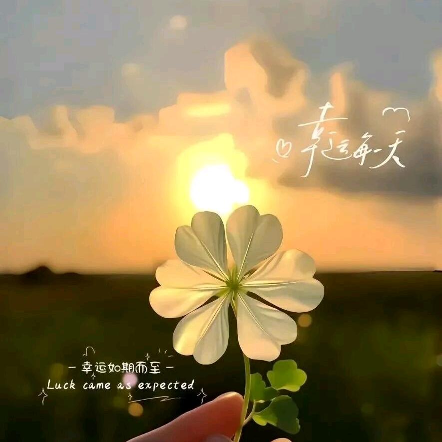 澄头像