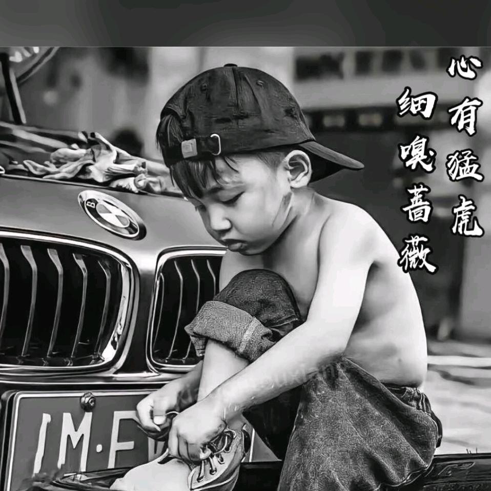 不老蓝颜