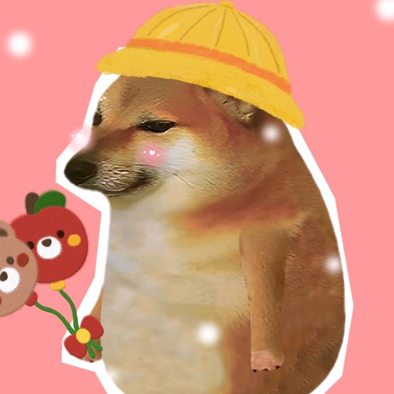 cheems小鱼丁