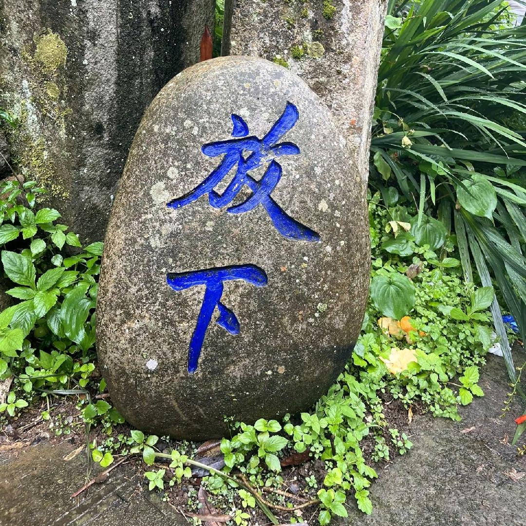 向日葵🌻🌻🌻