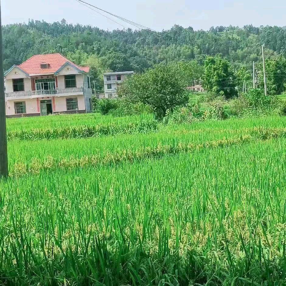 无依无靠的人活着一辈子好辛苦