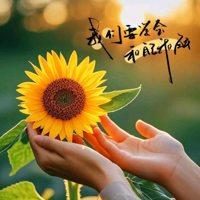 (☞凤姐☜)