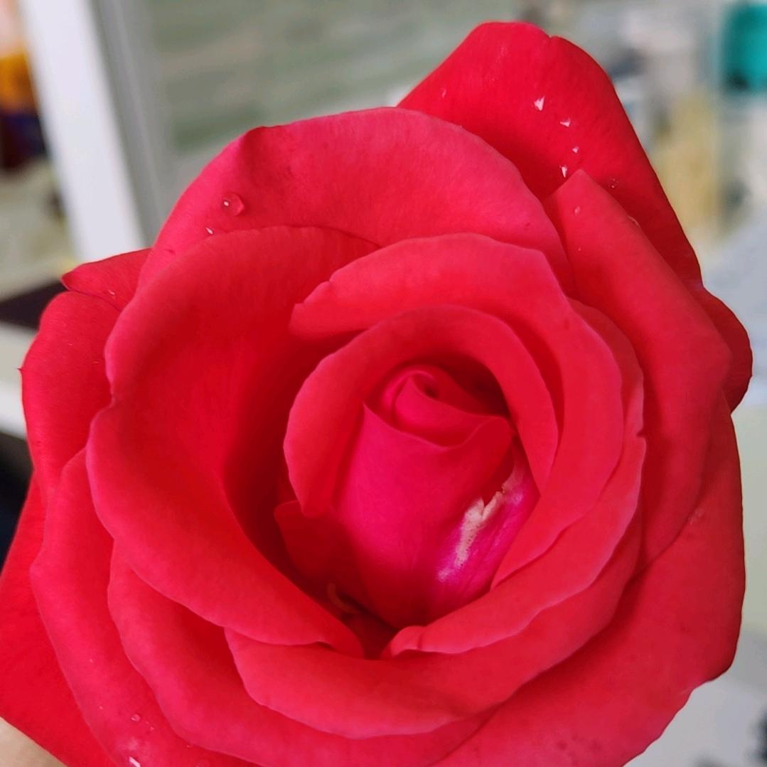 ♥