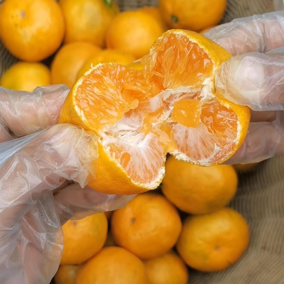 浙里有农特产-小王