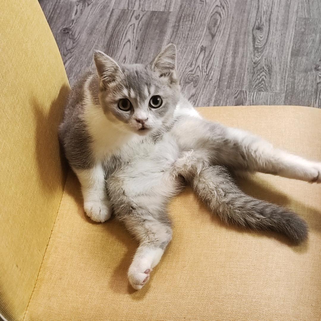 max