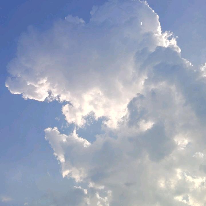 小張