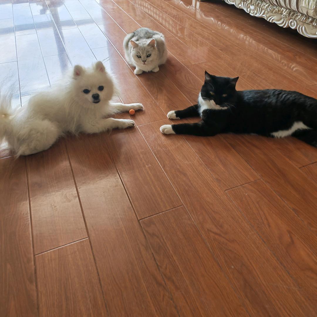 涵....