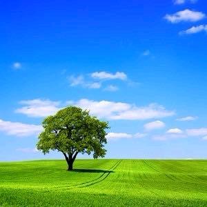 亚细亚，金铭雅陶张招子