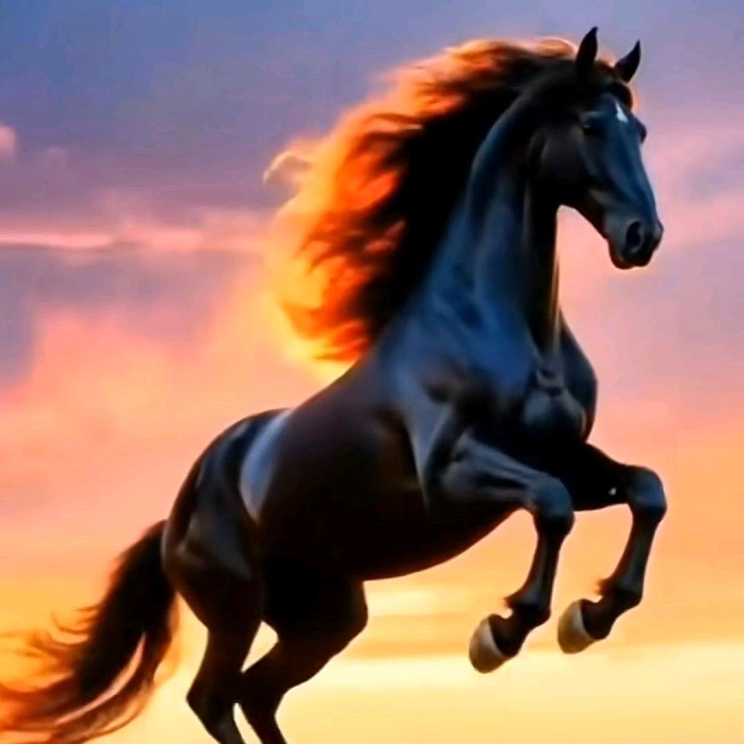 同是天涯沦落人