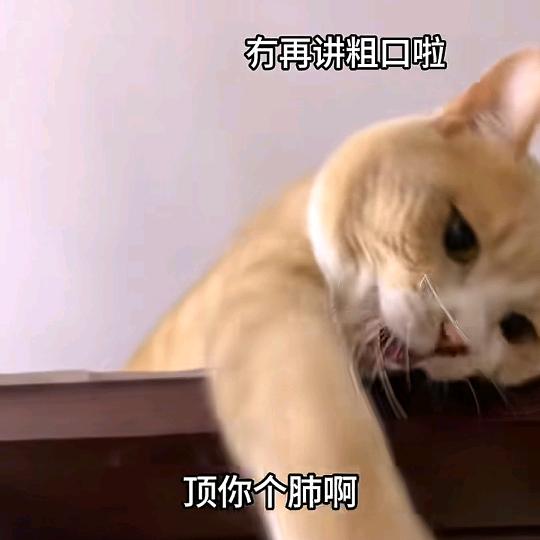 没经济基础想要真爱