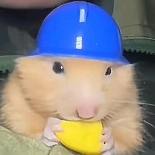 老t