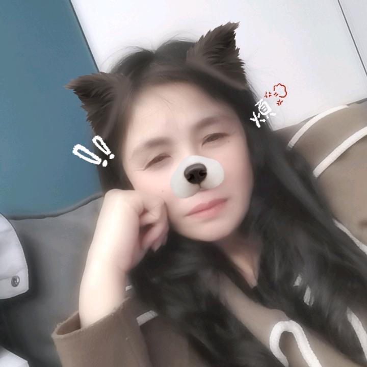 美凤