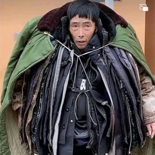三节草