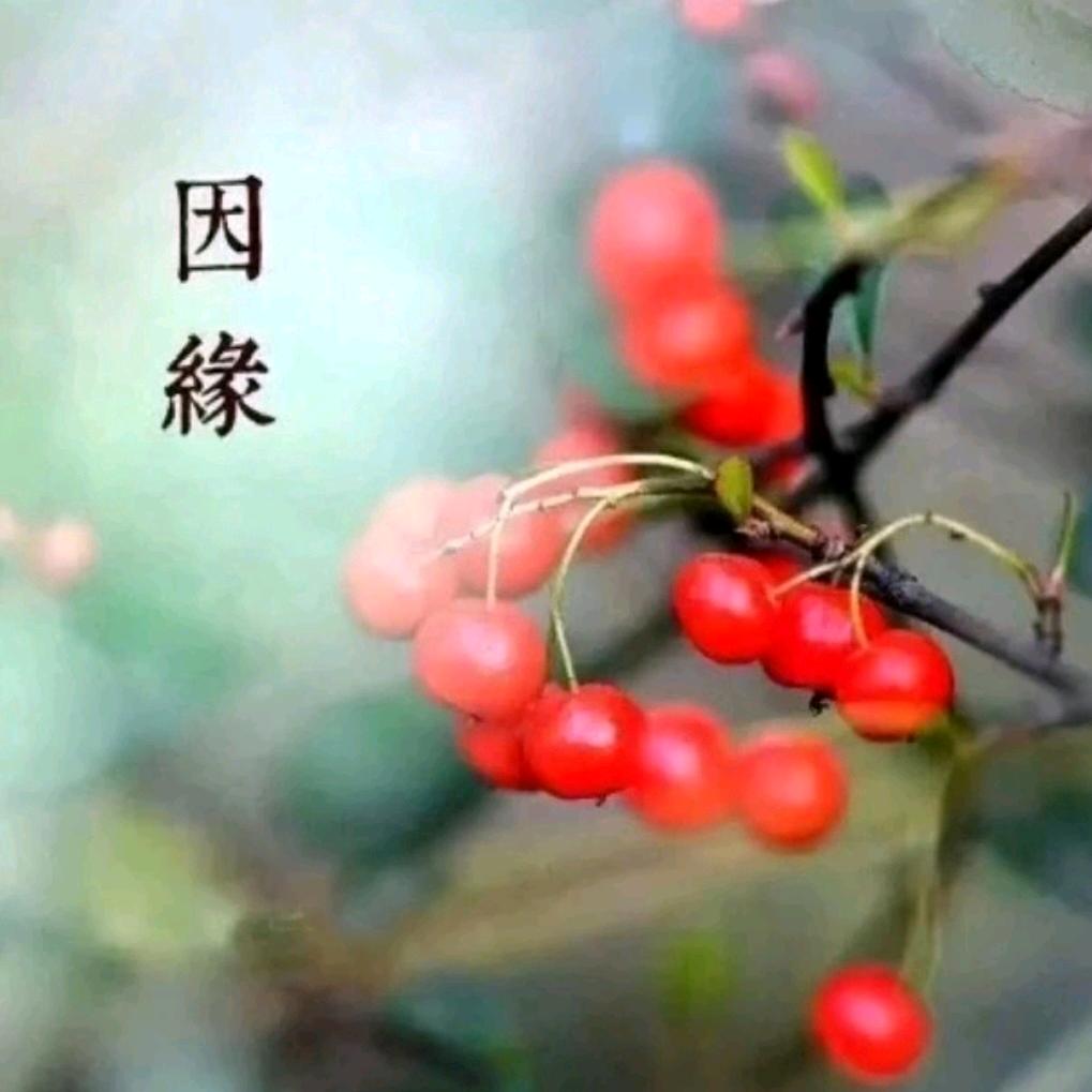 糊涂虫