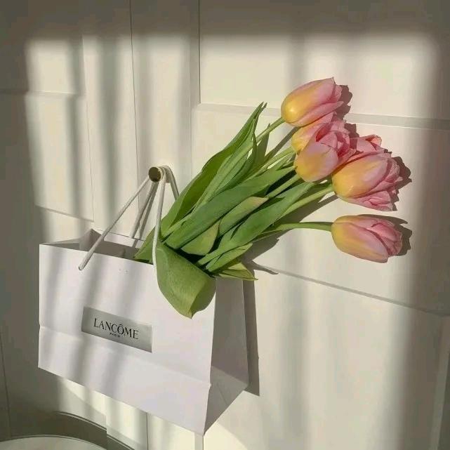 向着太阳的方向🌺