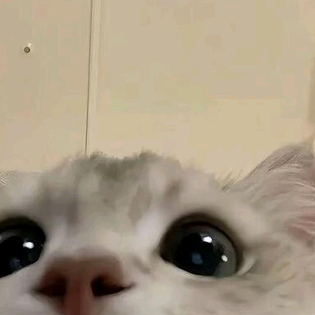 瑶