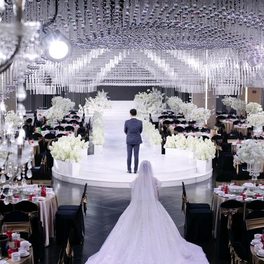 南湖盛宴/仁和盛宴珊珊