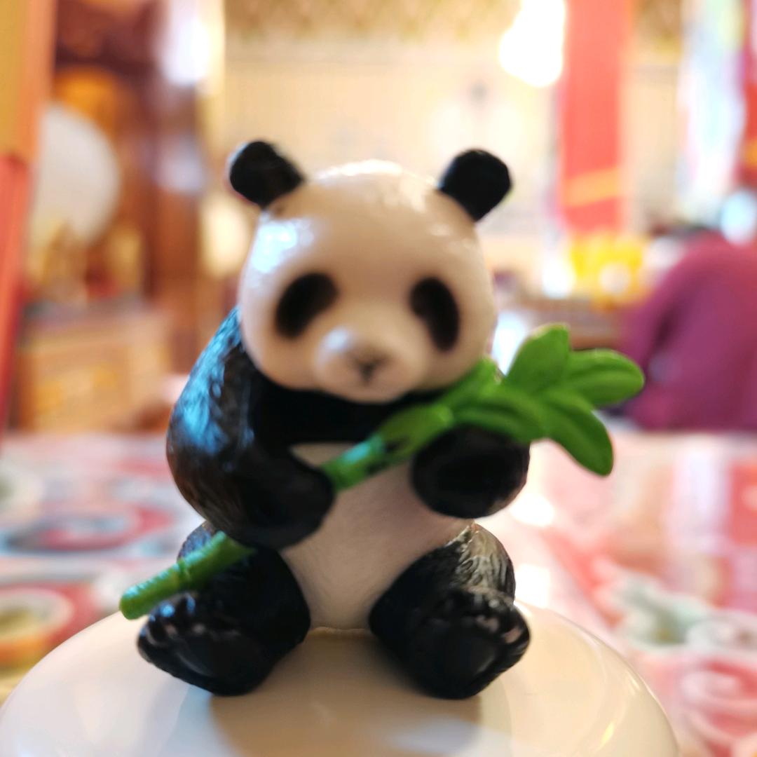 常回家看看