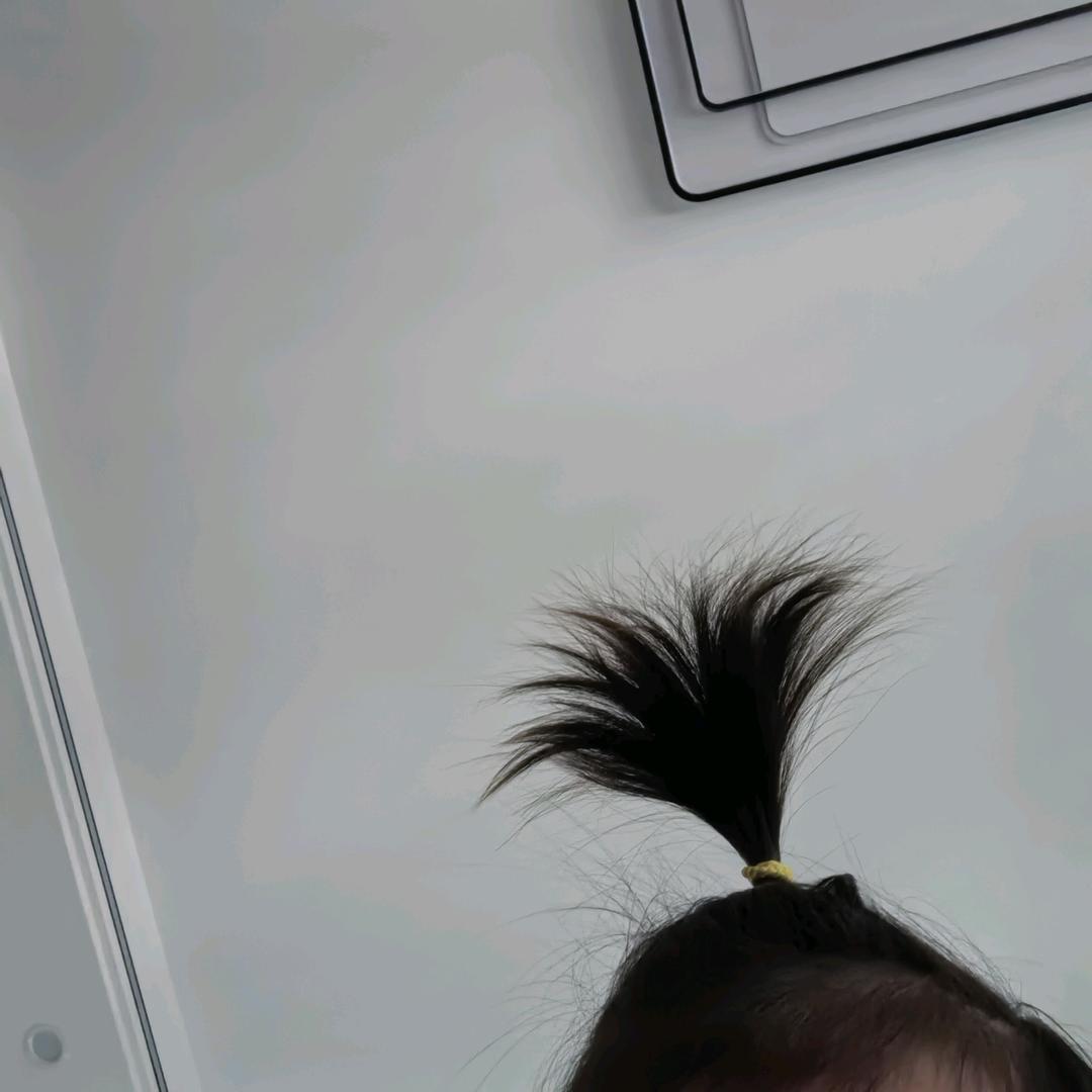公主殿下
