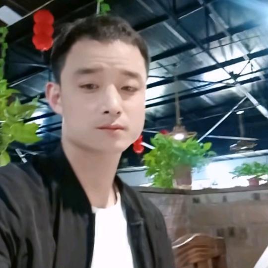 二零二六不在忧愁